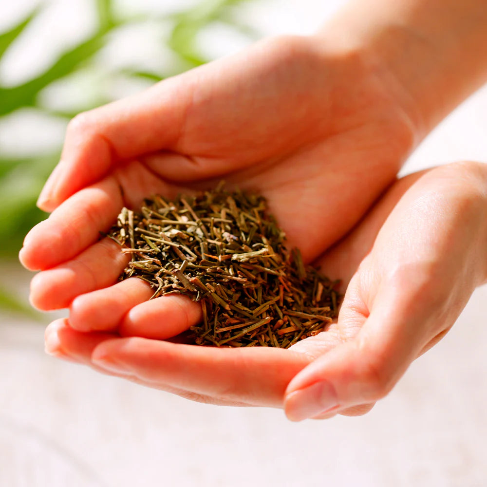 Kagabo-cha Roasted Green Tea with Ginger (8 teabags)