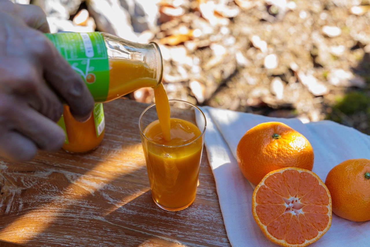 Six Sunshine Mandarin Orange Juices in a Gift Box