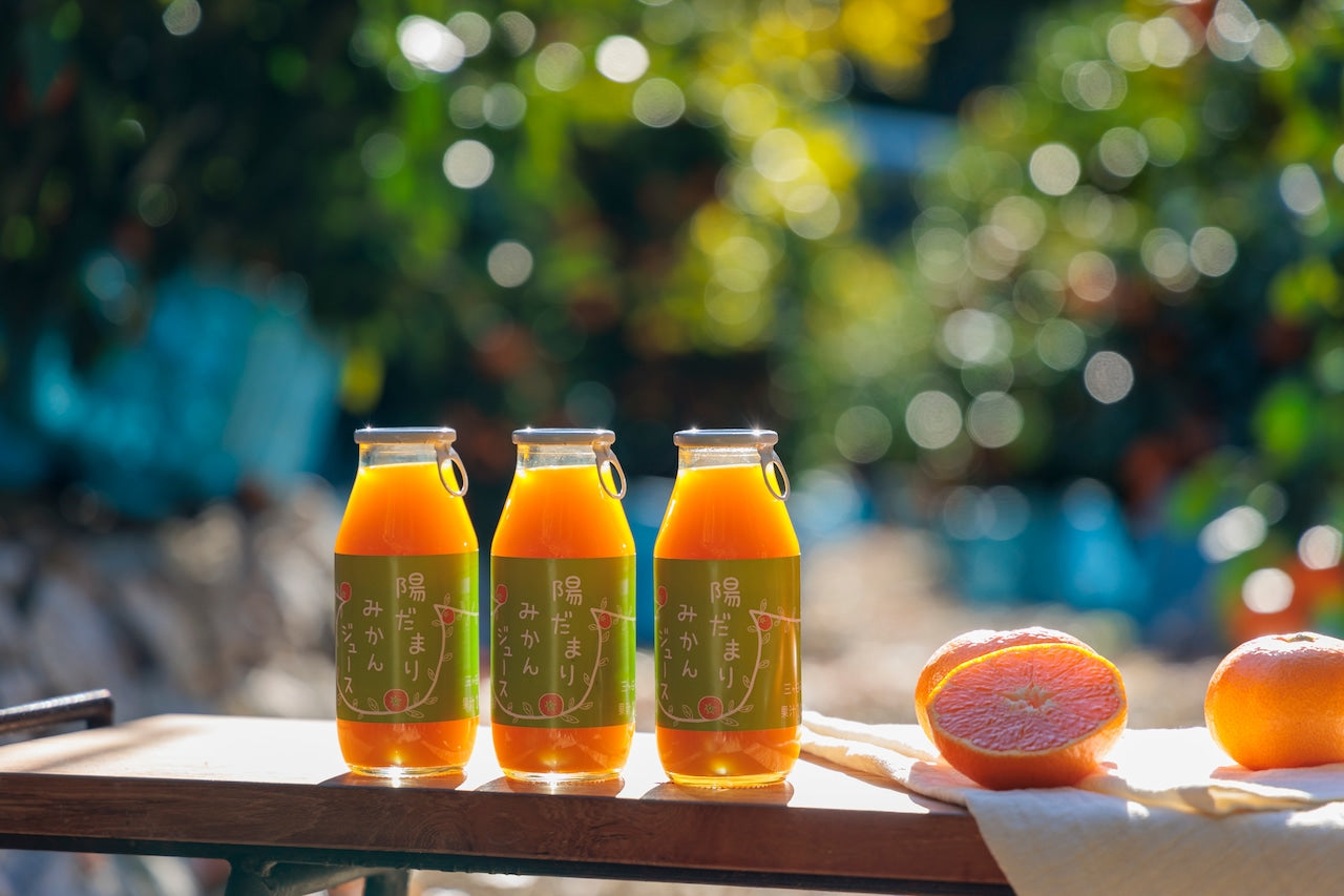 Six Sunshine Mandarin Orange Juices in a Gift Box